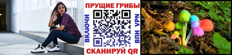 Псилоцибиновые грибы Psilocybe  блэк спрут tor  Осташков 